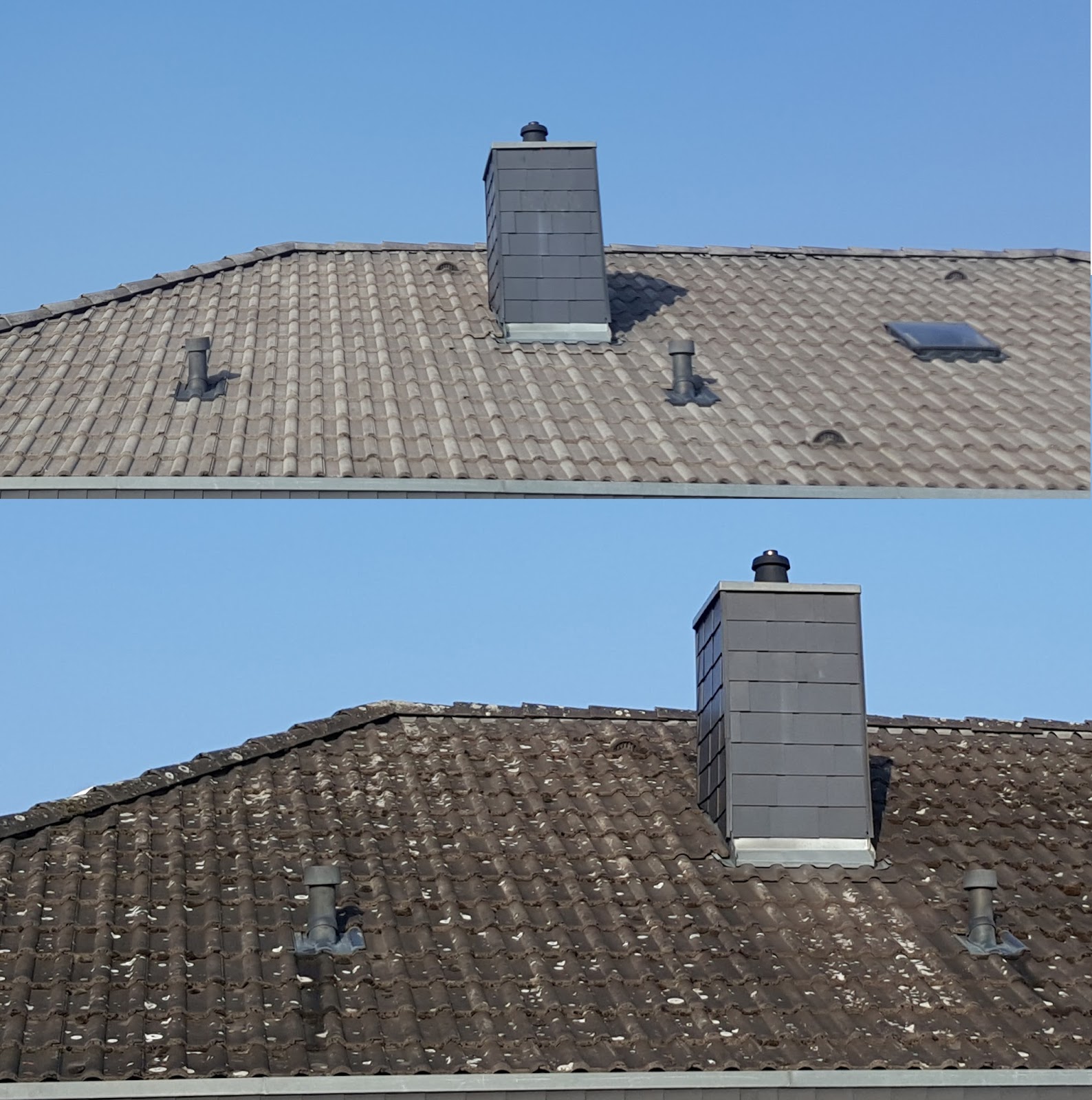 Démoussage de toiture : faire appel à Entreprise Falck. Démoussage de toiture : faire appel à Entreprise Falck.